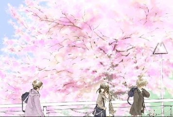 夜来香影视
